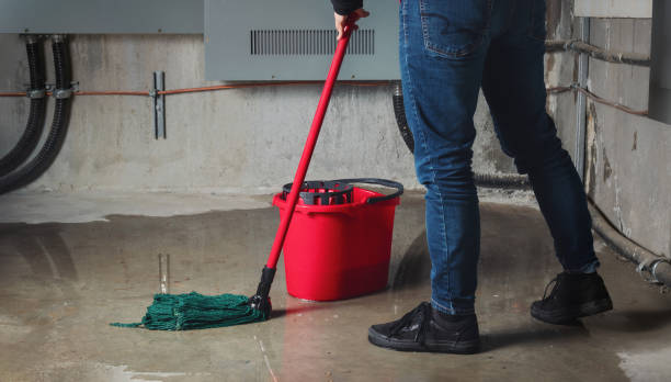 Best Water damage contractors near me  in East Pasadena, CA