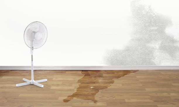 Best Water damage mitigation services  in East Pasadena, CA