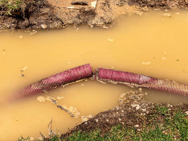 Best Water damage cleanup near me  in East Pasadena, CA