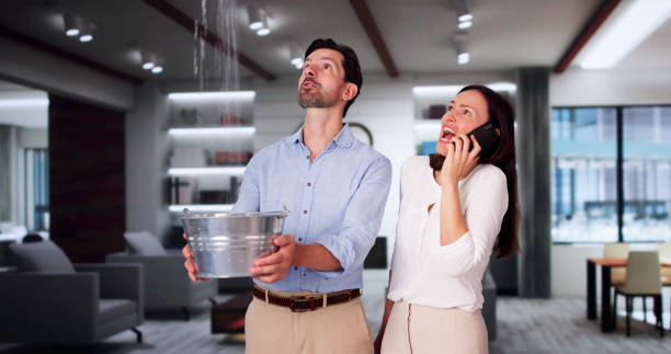 Best Flood damage cleanup  in East Pasadena, CA