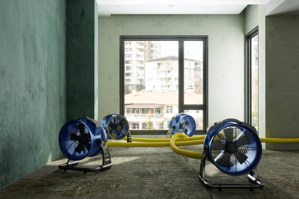 Best Basement water damage restoration  in East Pasadena, CA