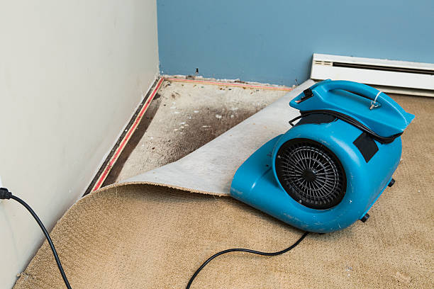 Water damage restoration experts in East Pasadena, CA